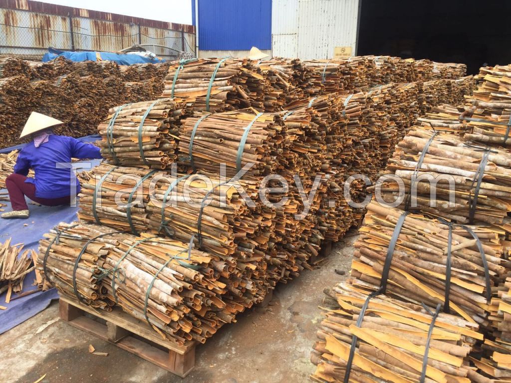 Vietnam Split Cassia (Cinnamon) from Big Factory
