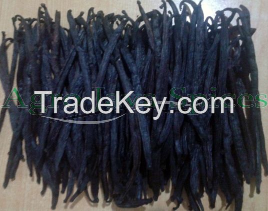 Vanilla Beans Indonesia