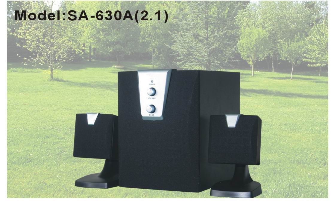 2.1 Multimedia speaker(SA-630A)