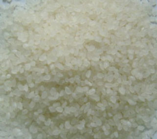 BASMATI RICE EXPORTER| KERNAL RICE WHOLESALER| WHITE RICE MANUFACTURER| LONG GRAIN TRADER| PARBOILED RICE IMPORTERS