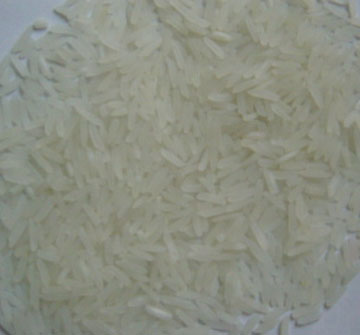 BASMATI RICE EXPORTER| KERNAL RICE WHOLESALER| WHITE RICE MANUFACTURER| LONG GRAIN TRADER| PARBOILED RICE IMPORTERS