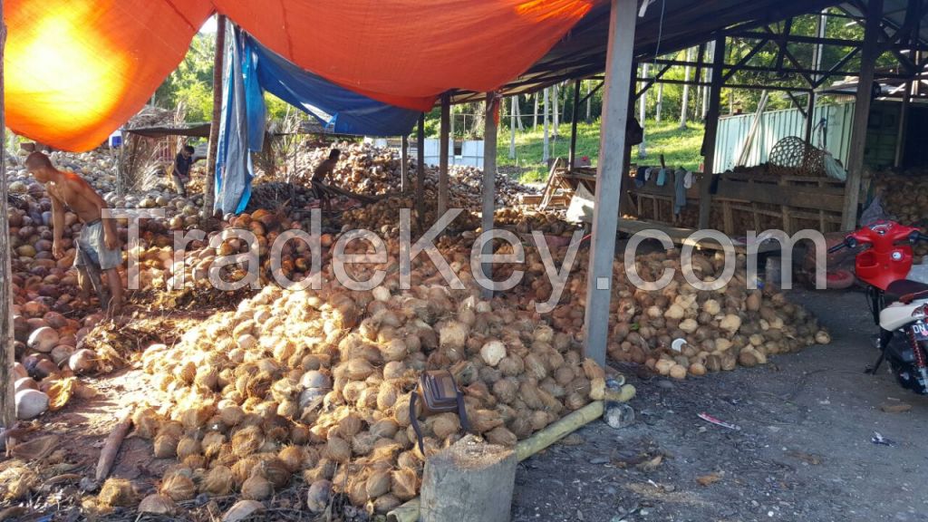 Fresh Coconut