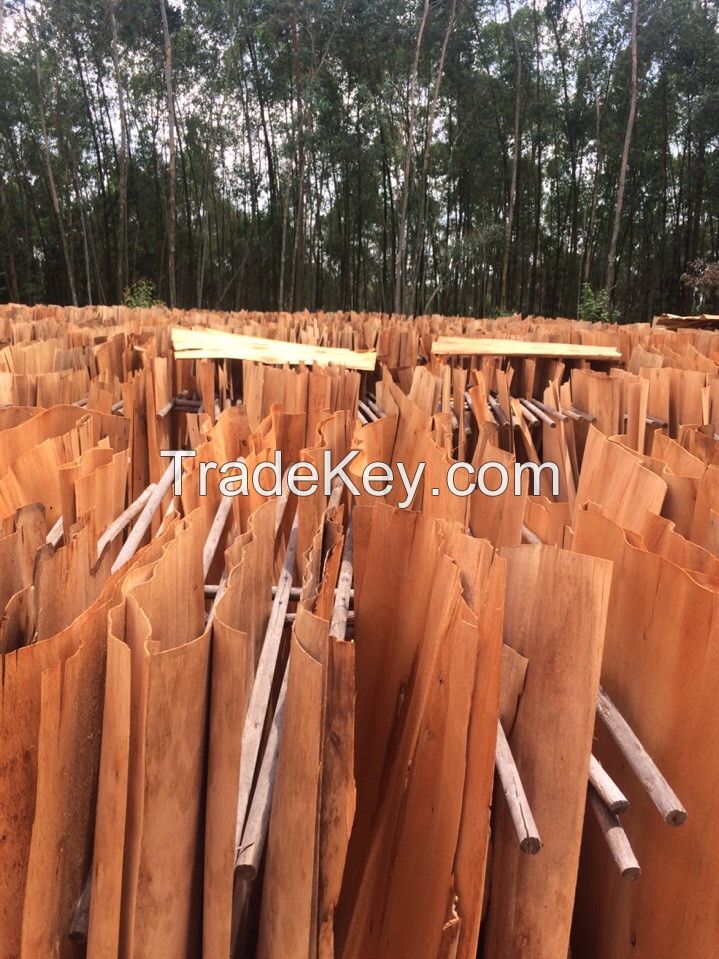 Good price acacia / eucalyptus core veneer from reliable supplier in Vietnam