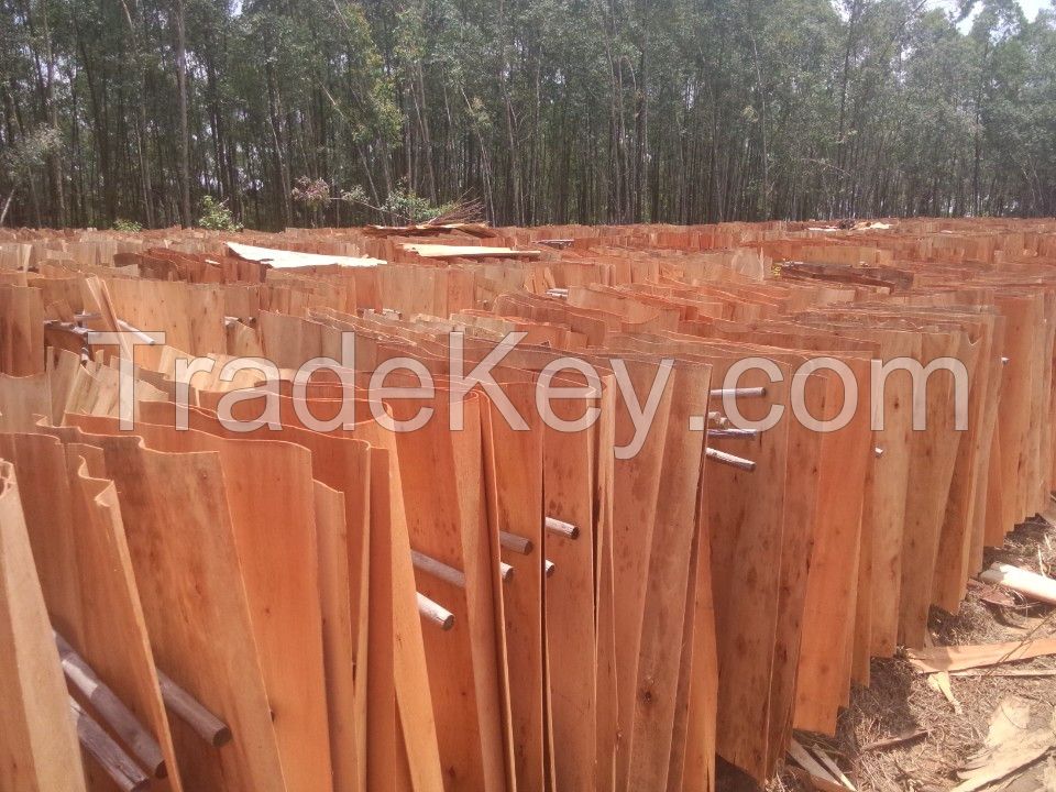Competitive price high quality acacia / eucalyptus core veneer from reliable supplier in Vietnam