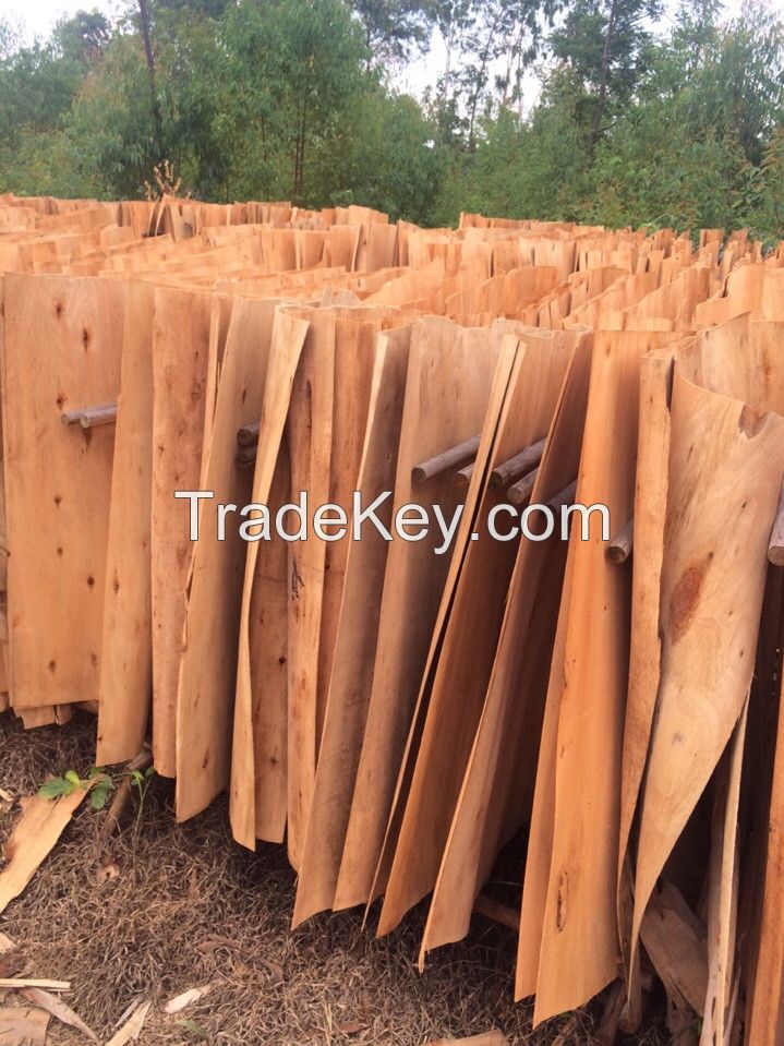  acacia / eucalyptus core veneer with cheap price good quality from reliable supplier in Vietnam