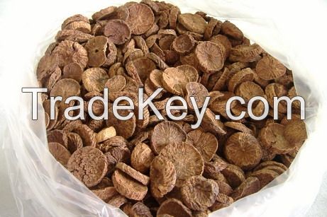 Supplying dried Areca Nuts for export