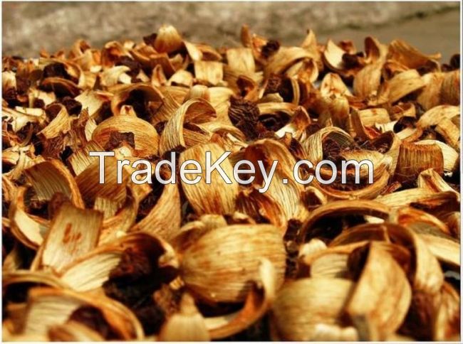 Supplying dried Areca Nuts for export