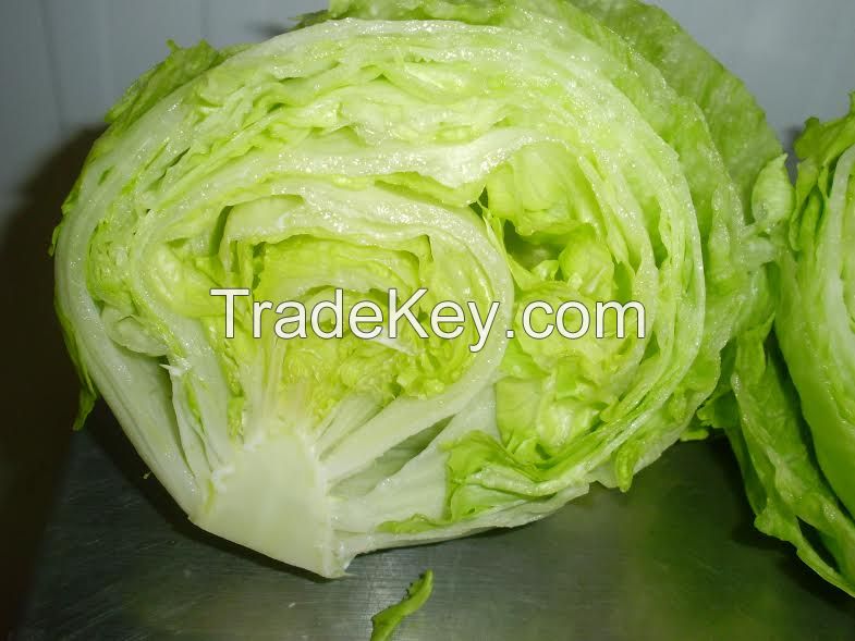 Iceberg Lettuce