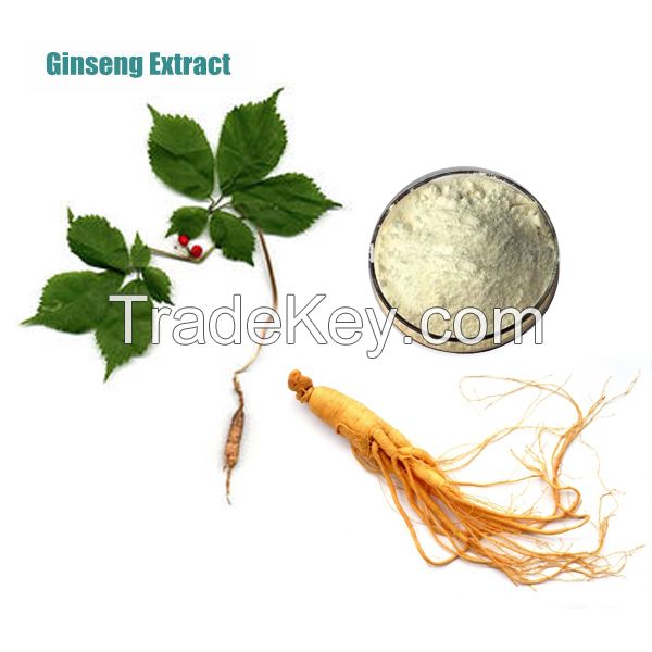 Food Price List Good Quality Panax Ginseng Leaves Extract