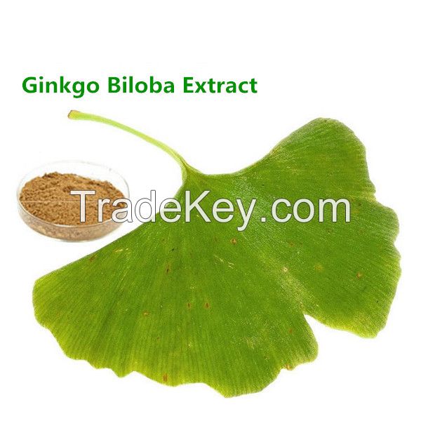 Water soluble ginkgo biloba leaf extract