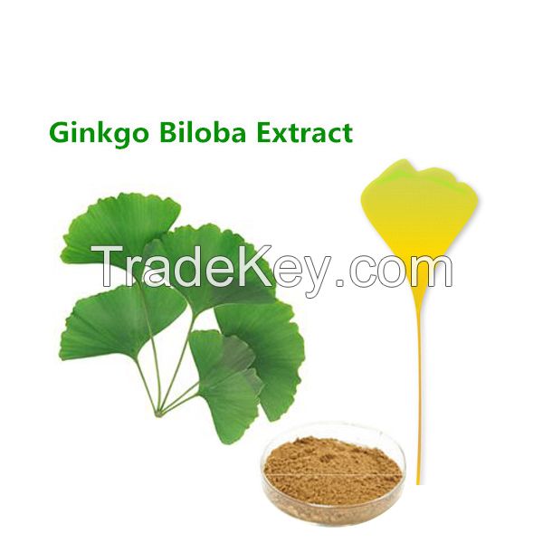 Trustworthy Ginkgo Biloba Extract Supplier