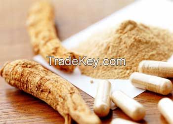 ISO Certification Panax Ginseng Root Extract