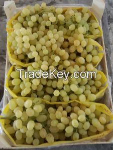 Seedles grapes