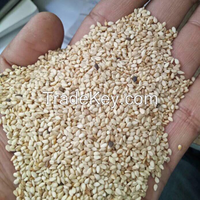 High Quality Raw White Sesame Seeds