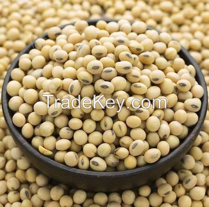 High Quality Premium Natural and Non- GMO Yellow Soybean Seeds / Soya Bean /Soy Beans in Bulk at Cheap Cost