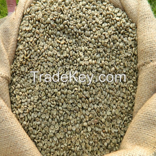 Green Coffee Beans High Quality