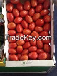 Fresh Indian Tomatoes