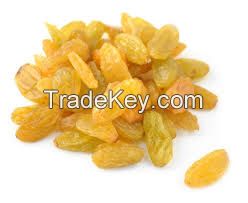  Indian Golden Raisins 