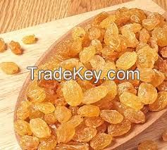  Indian Golden Raisins 