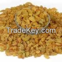  Indian Golden Raisins 