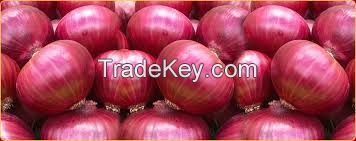 Fresh Indian Onions