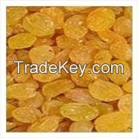  Indian Golden Raisins 