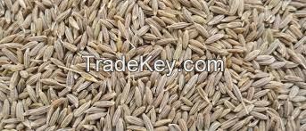  Indian Cumin Seeds/ Cassia Tora Seeds/ Cumin Seed Powder