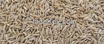 Indian Cumin Seeds/ Cassia Tora Seeds/ Cumin Seed Powder