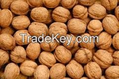 wholesale Common Walnut, 