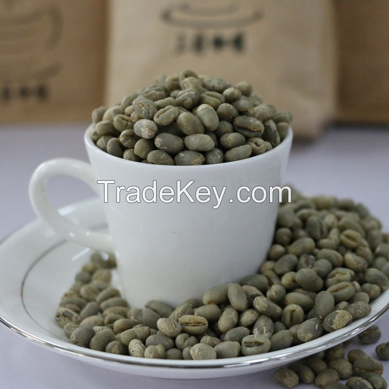 arabica green coffee beans