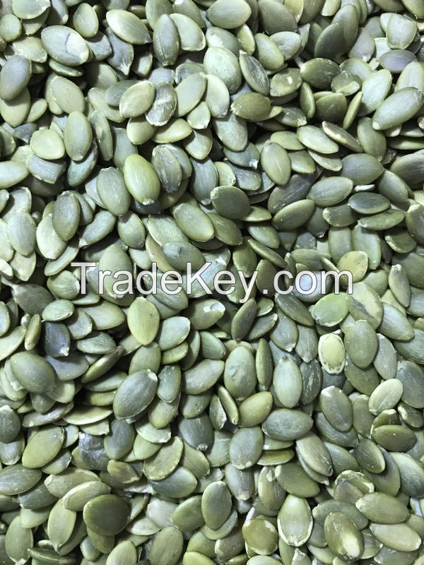 2016 crop   pumpkin seeds kernels grade AA