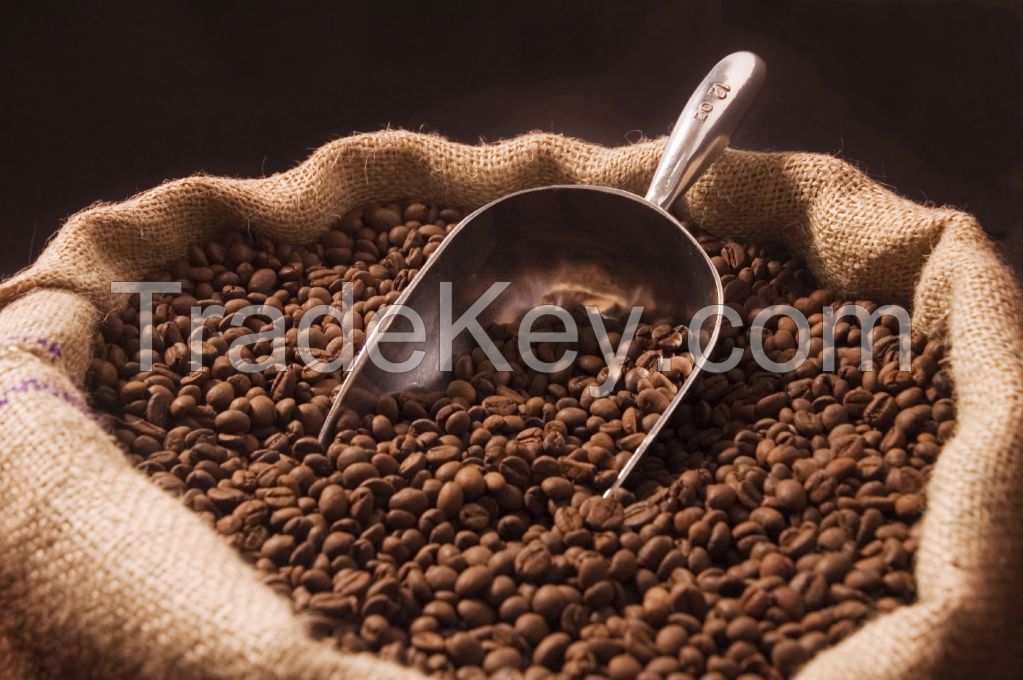 Nepali Arabica Coffee Beans