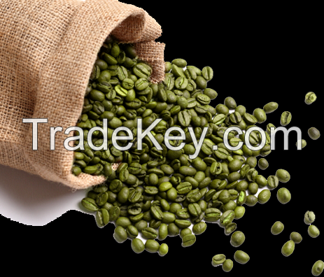 Green Arabica Coffee Beans