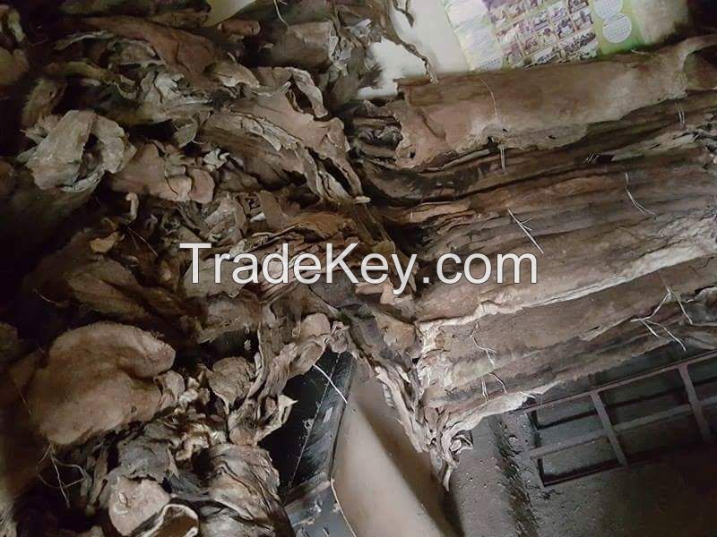 Dry And Wet Salted Donkey/Horse Hides/Wet Cow Hides