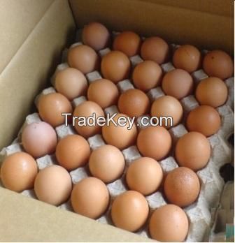 Chicken eggs