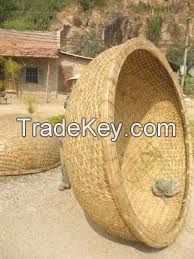 BAMBOO CORACLE