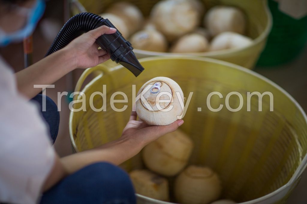 Tasty Fresh Coconuts (Viconut brand)