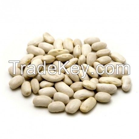 ORGANIC OR CONVENTIONAL WHITE BEANS