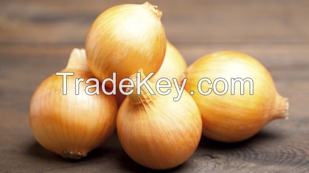 Fresh Red Onions 8cm and up Packing in 10kg/Bag - China Onion, Fresh Onion