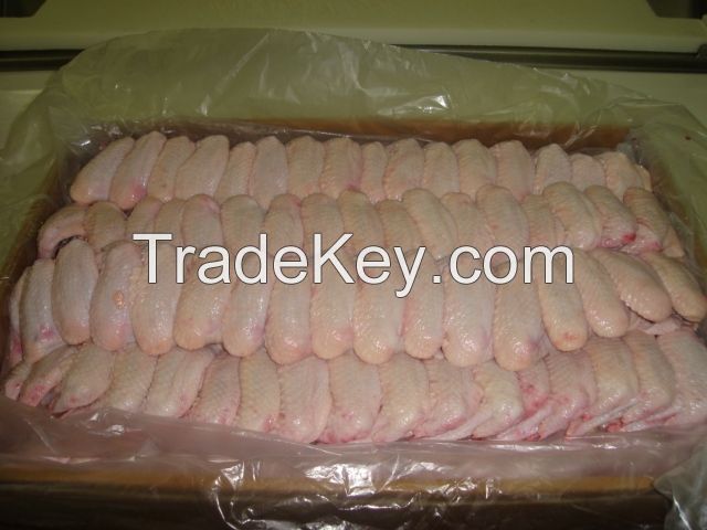 Big Supplier for Frozen Feet of Chiken