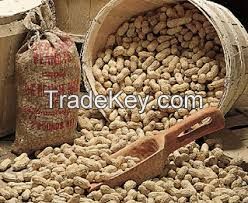 Manufacturer and Exporter of Fresh and Natural Peanuts for Bulk Buyer