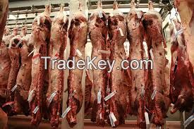 Halal Certified Beef Liver/Beeg Heart/Beef Tongue and Other Beef