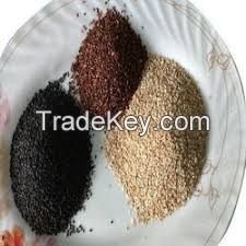 Raw Sesame Seeds Organic