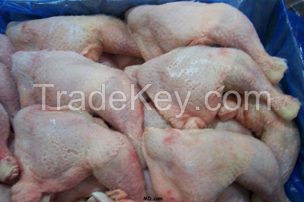 very testy frozen halal whole chicken