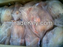 Quality Halal Frozen Whole Chicken and Parts / Gizzards / Thighs / Feet / Paws / Drumsticks