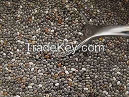 Top Quality Grade Oil Chia Seeds, White Chia Seeds, Black Chia Seeds