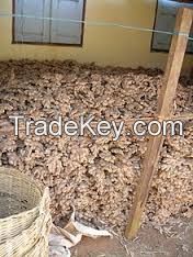hot sale high quality fresh ginger supplier