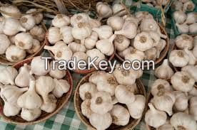 supplier of new harvest normal white garlic with high quality