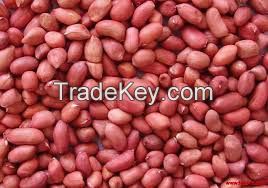 25 kg bulk packing peanut seeds dried red peanuts