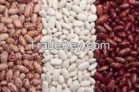 LSKB /Light Speckled Kidney Beans /Pinto Beans/Sugar Beans
